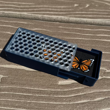 Load image into Gallery viewer, Monarch Butterfly Dubrae