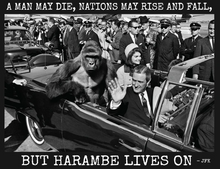 Load image into Gallery viewer, R.I.P. Harambe