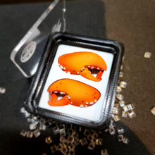 Load image into Gallery viewer, Orange Lobster Dubrae